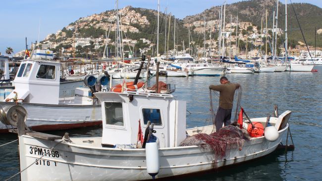 Detektei ermittelt auf Mallorca.