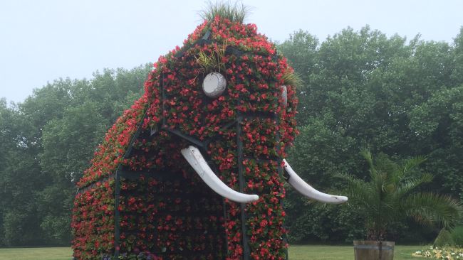 Detektive beobachten im Kurpark in Hamm.