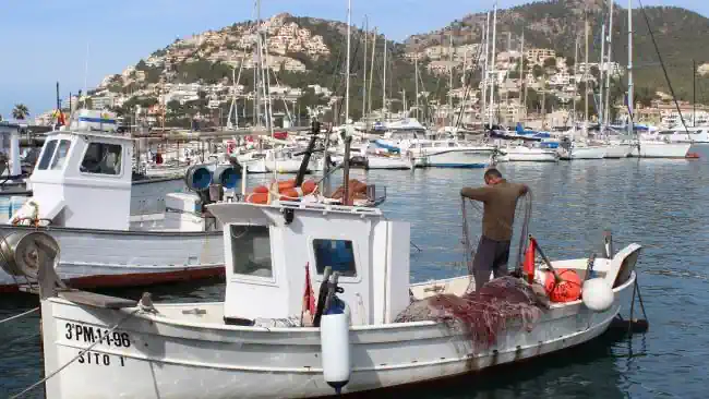 Detektei ermittelt auf Mallorca.