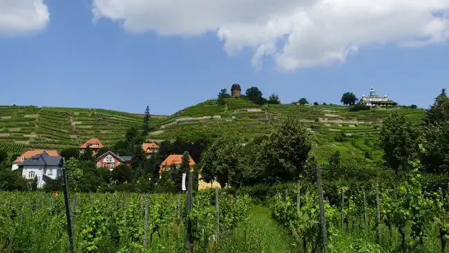 Privatdetektive ConDetect recherchieren in Radebeul und Umgebung. Detektive recherchieren rund um den Bismarkturm in Radebeul.