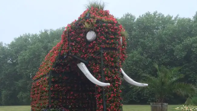 ConDetect Ermittler am Einsatzort Hamm. Detektive beobachten im Kurpark in Hamm.