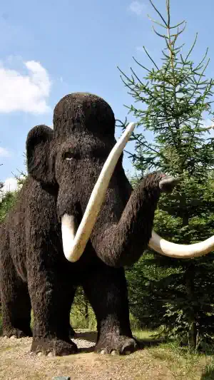 Detektei observiert am Einsatzort Oranienburg.