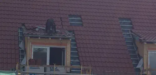 Dachdecker bei der Arbeit als Sinnbild für Detektivarbeit.